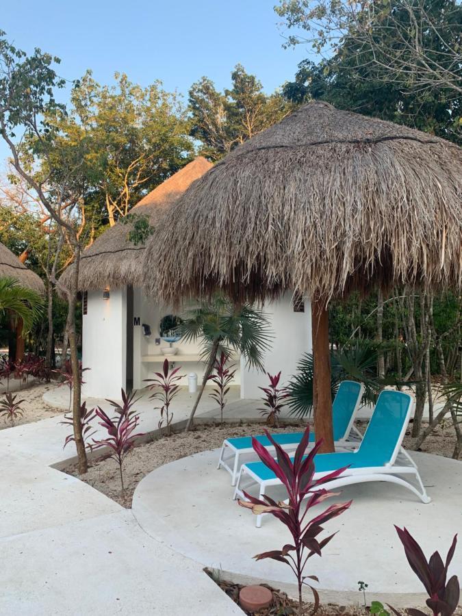 Exclusive House With Private Pool And Jacuzzi Villa Puerto Morelos Exteriör bild